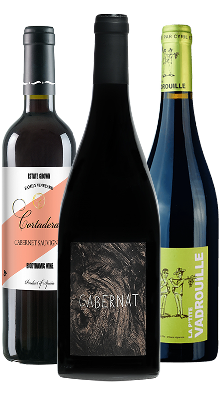 חבילה אורגנית לאוהבי הקברנה סוביניון